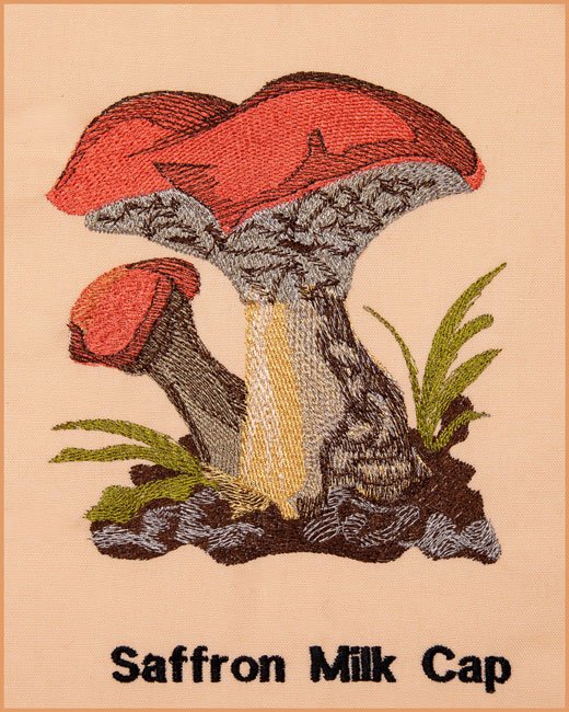 BFC1661 Vintage Mushrooms