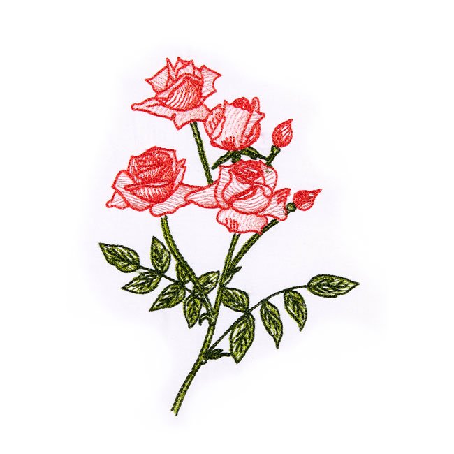 BFC1663 Delicate Roses