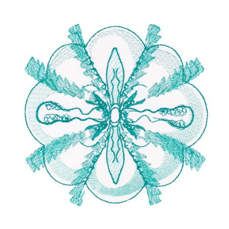 BFC1754 Ernst Haeckel's Ocean Quilt Blocks