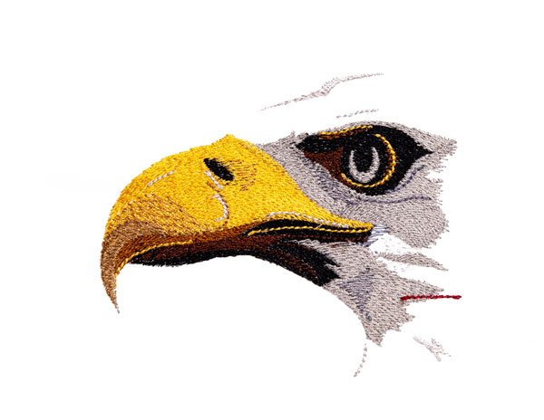 BFC1833 Large Eagle Portrait with American Flag