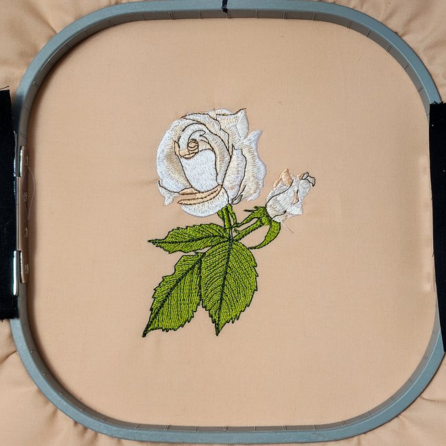 BFC1988 White Satin Roses