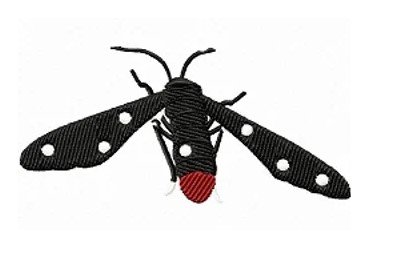 RMG213  Dotted Moth