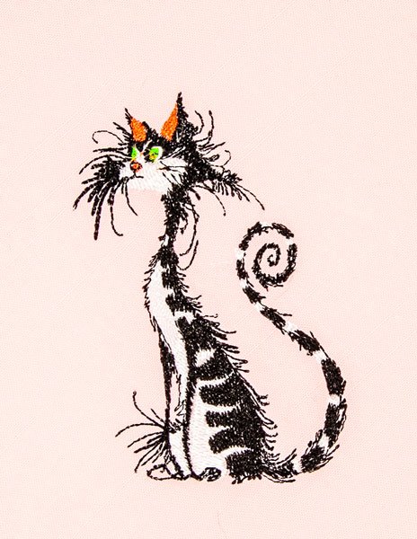 BFC2180 Cats with LOTS of Attitude 1