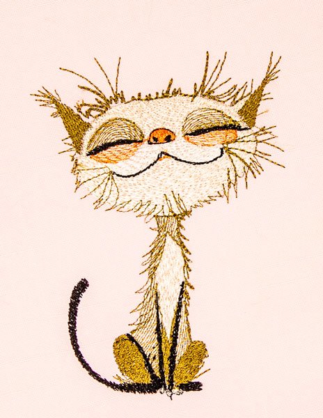 BFC2180 Cats with LOTS of Attitude 1