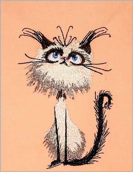 BFC2181 Cats with LOTS of Attitude 2