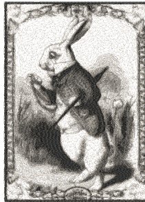 RMG2204  Strolling Rabbit