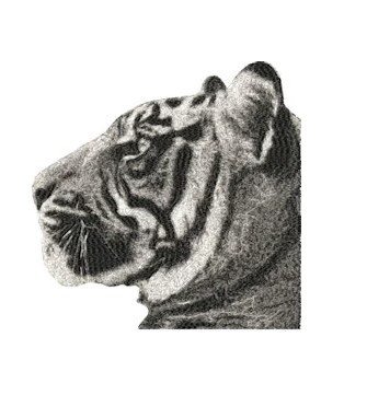 RMG2411 Tiger