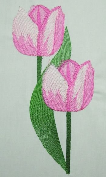 BFC0250 Watercolor Tulips