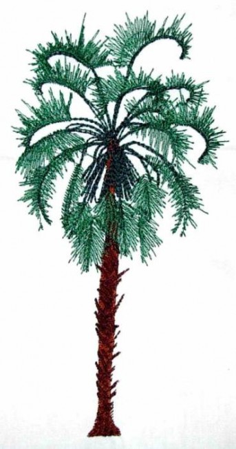 BFC0265 Tropical Palms