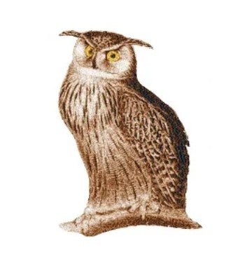 RMG2805  Owl