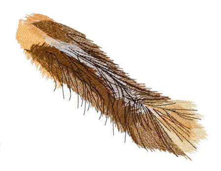 Calico Cat Tail
