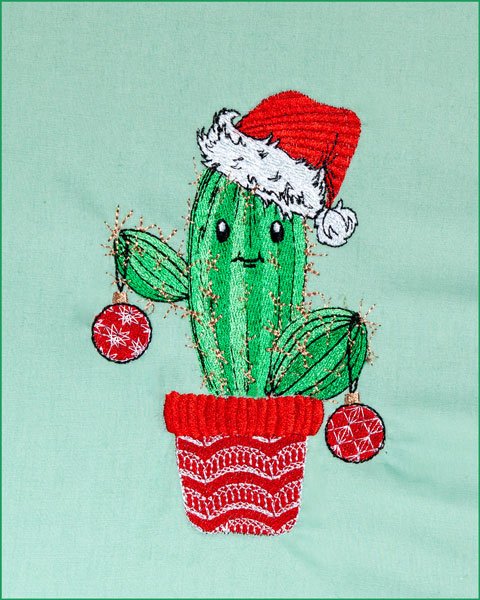 Christmas Cactus 1