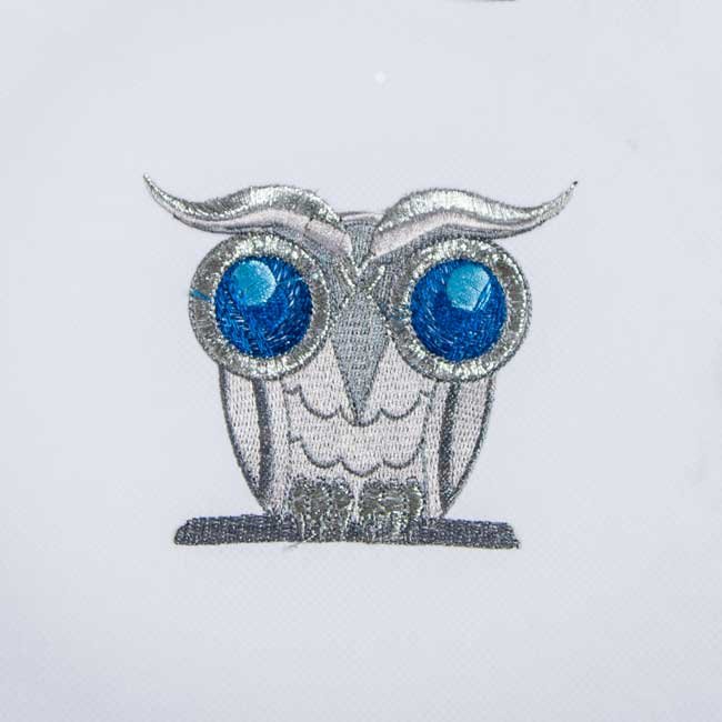 BFC31555 Silvery Little Owl