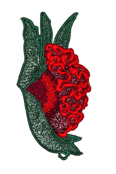 32183 Lace Flower - Cockscomb