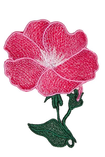 32184 Lace Flower - Petunia