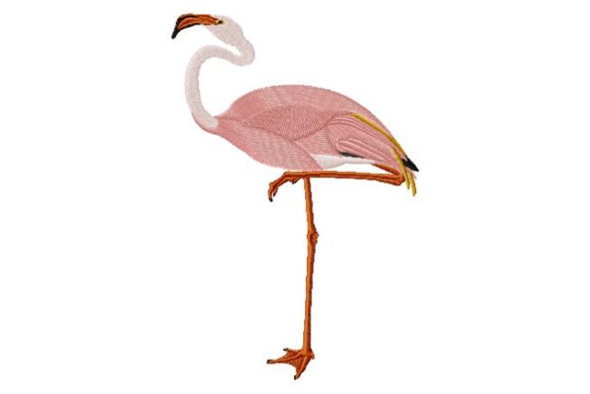 RMG34a Flamingo