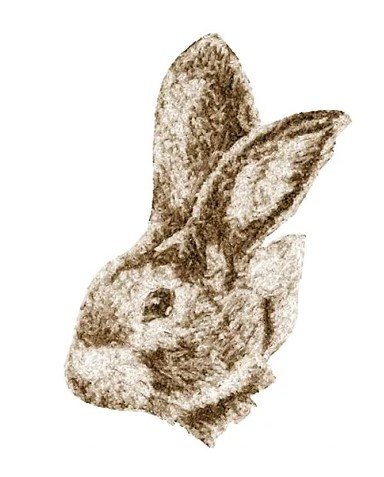 RMG3568 Rabbit