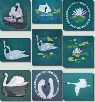 BFC0361 Swans & Water Lilies