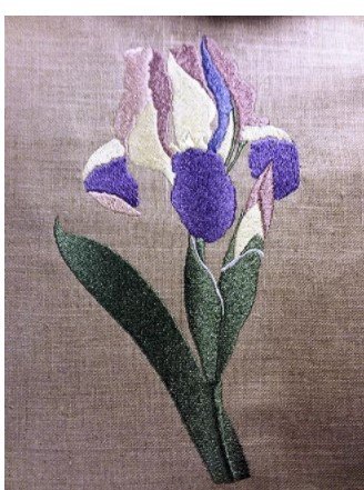 RMG3649 watercolor iris