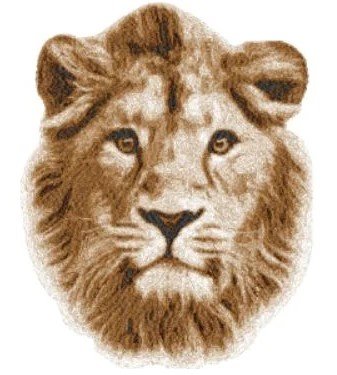 RMG3819 Lion