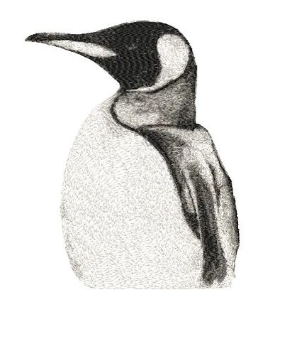 RMG3923  Penguin Profile