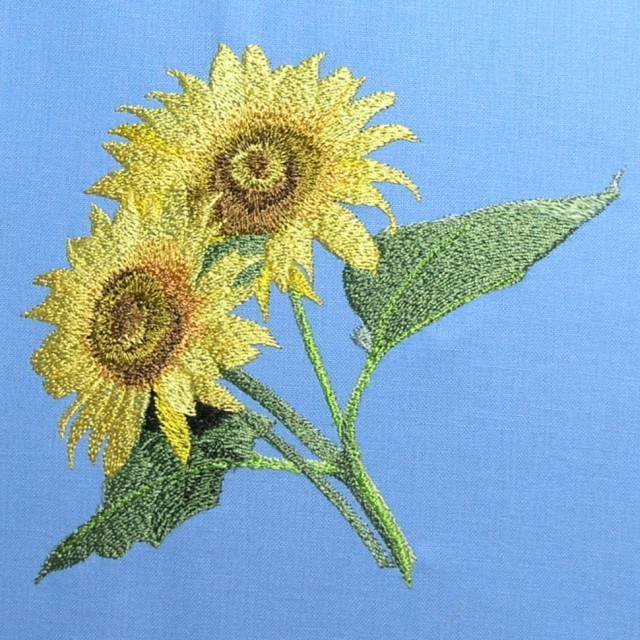 BFC0425 Sunflowers