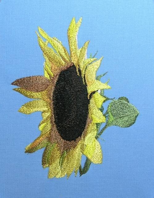 BFC0425 Sunflowers