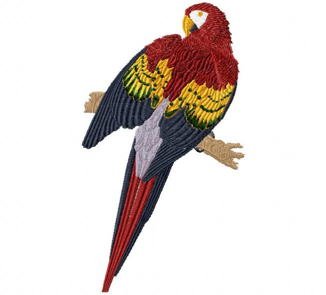 RMG434  Red and Yellow Macaw