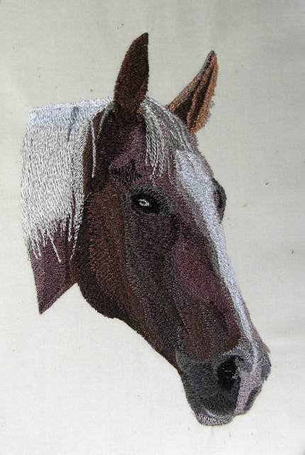BFC0463 Portraits-Horses