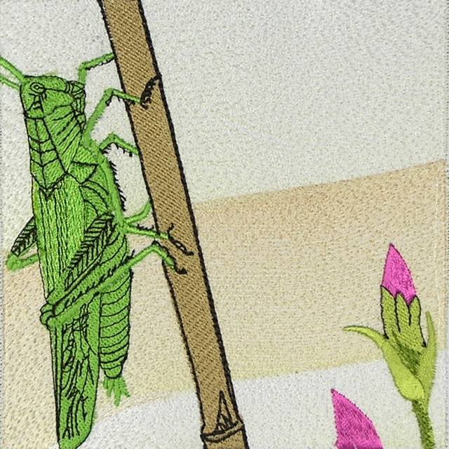 BFC0513 Window - The Grasshopper