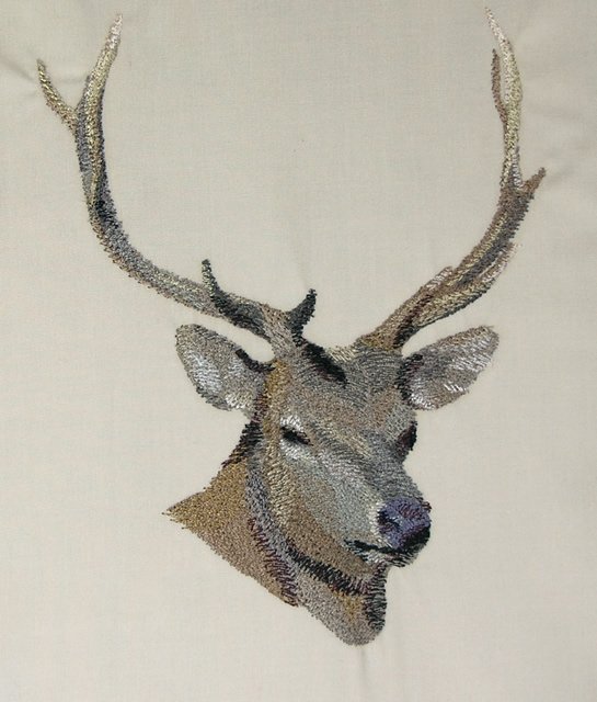 BFC0517 Deer