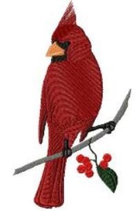 RMG558 Cardinal