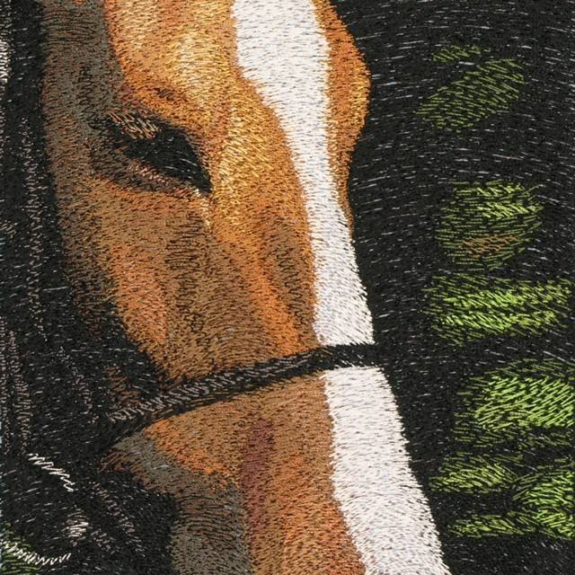 BFC0568 Window-Horse