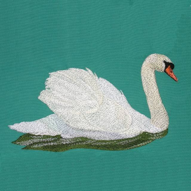 BFC0620 Swans