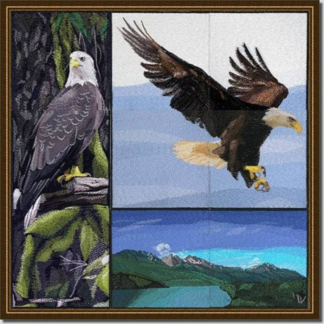BFC0625  A Collage - Freedom