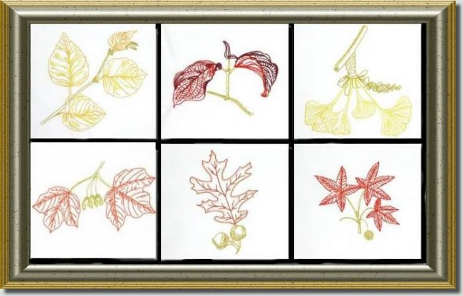 BFC0630 Color Sketches-Autumn Leaves