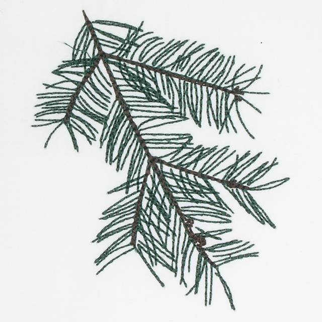 BFC0642 Color Sketches-Evergreens