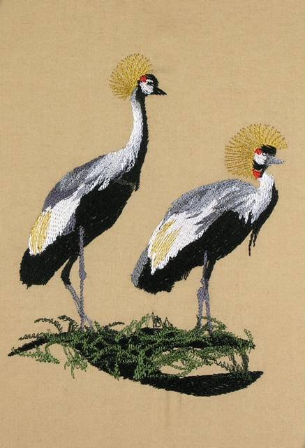 BFC0655 South African Grey Crowned Crane with Flowers