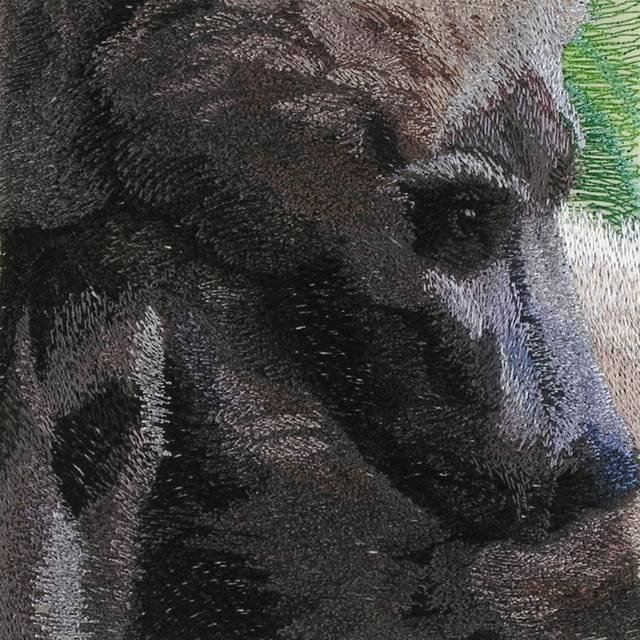 BFC0685 Window-Bear Cubs