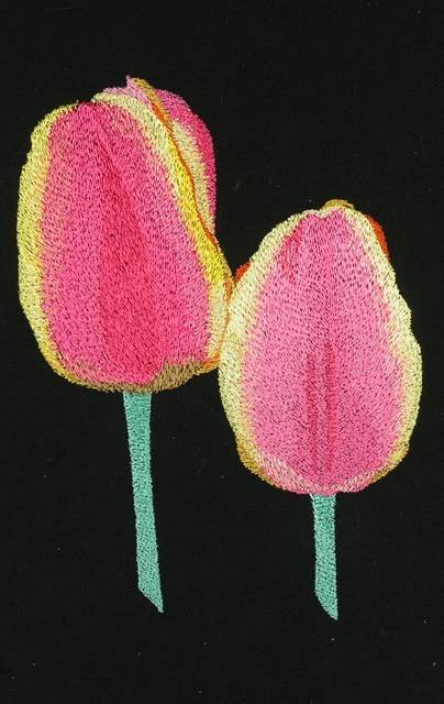 BFC0717 Still Life - Tulips