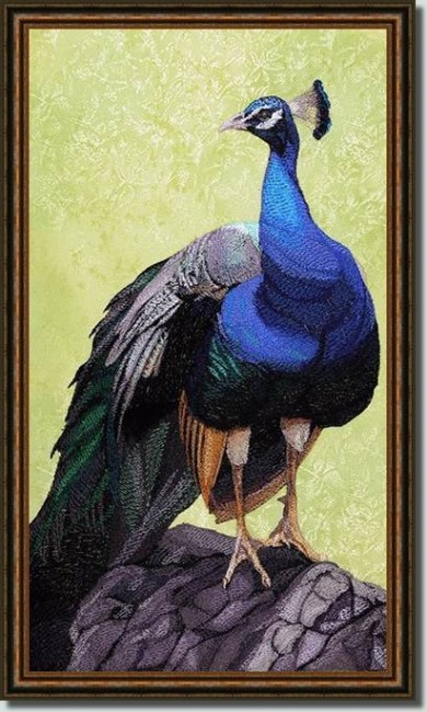 BFC0741 Large Peacock by Fred