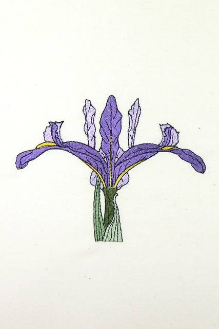BFC0920 Botanical Print - Iris