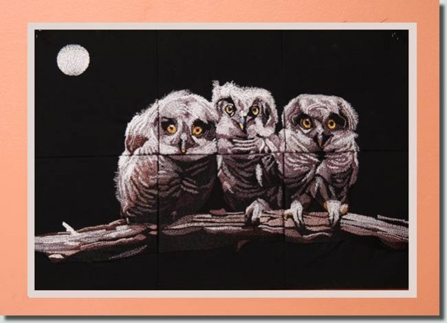 BFC0947 Window-Three Baby Owls