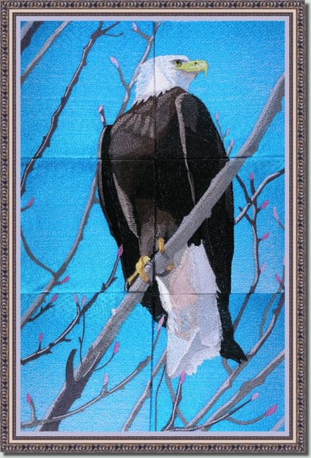 BFC0954 Window-An Eagle in Springtime