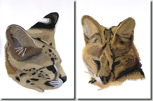 BFC0996 Two Serval Portraits