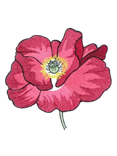 BFC0997 Poppies with Oriental Influence