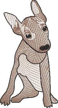 BFC2219 Cute Alpha Animals -R-Z