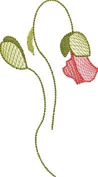 BFC2222 Graceful Florals Library
