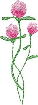 BFC2222 Graceful Florals Library
