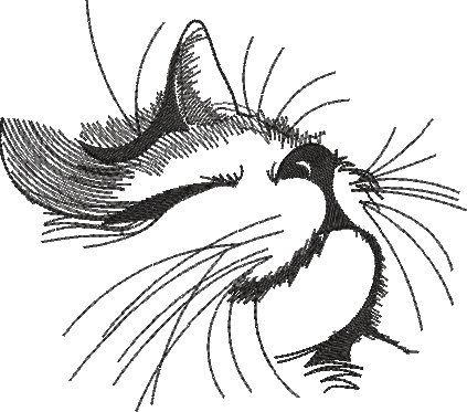 BFC2236 Kitty Sketches